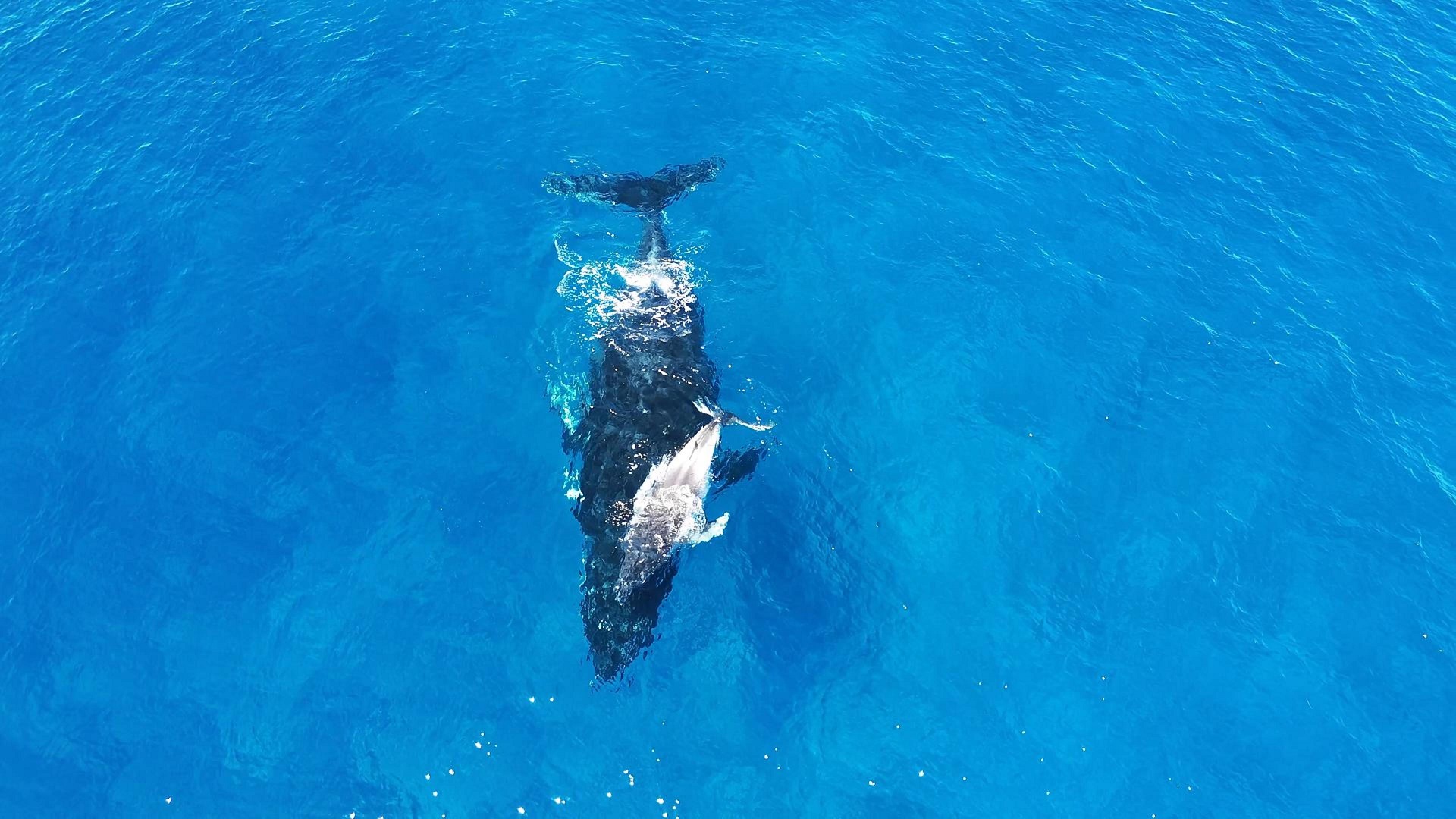 Działania na Nosy Iranja